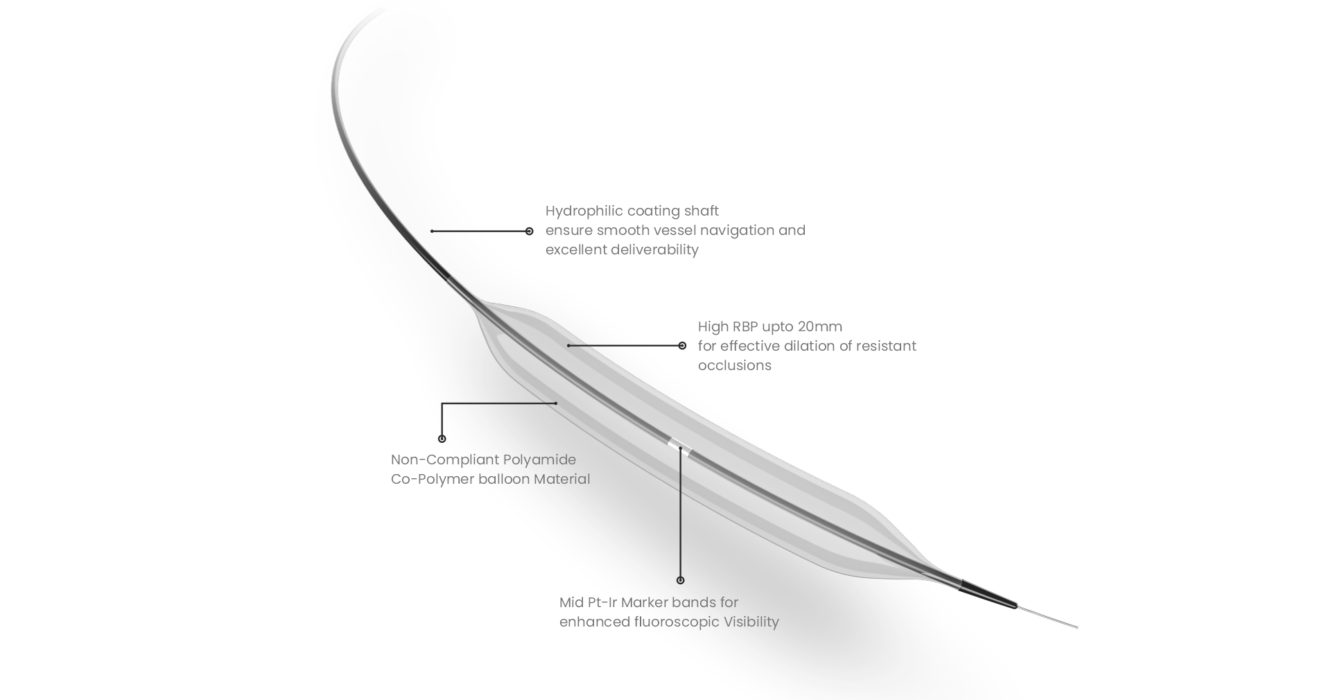 vectorcto