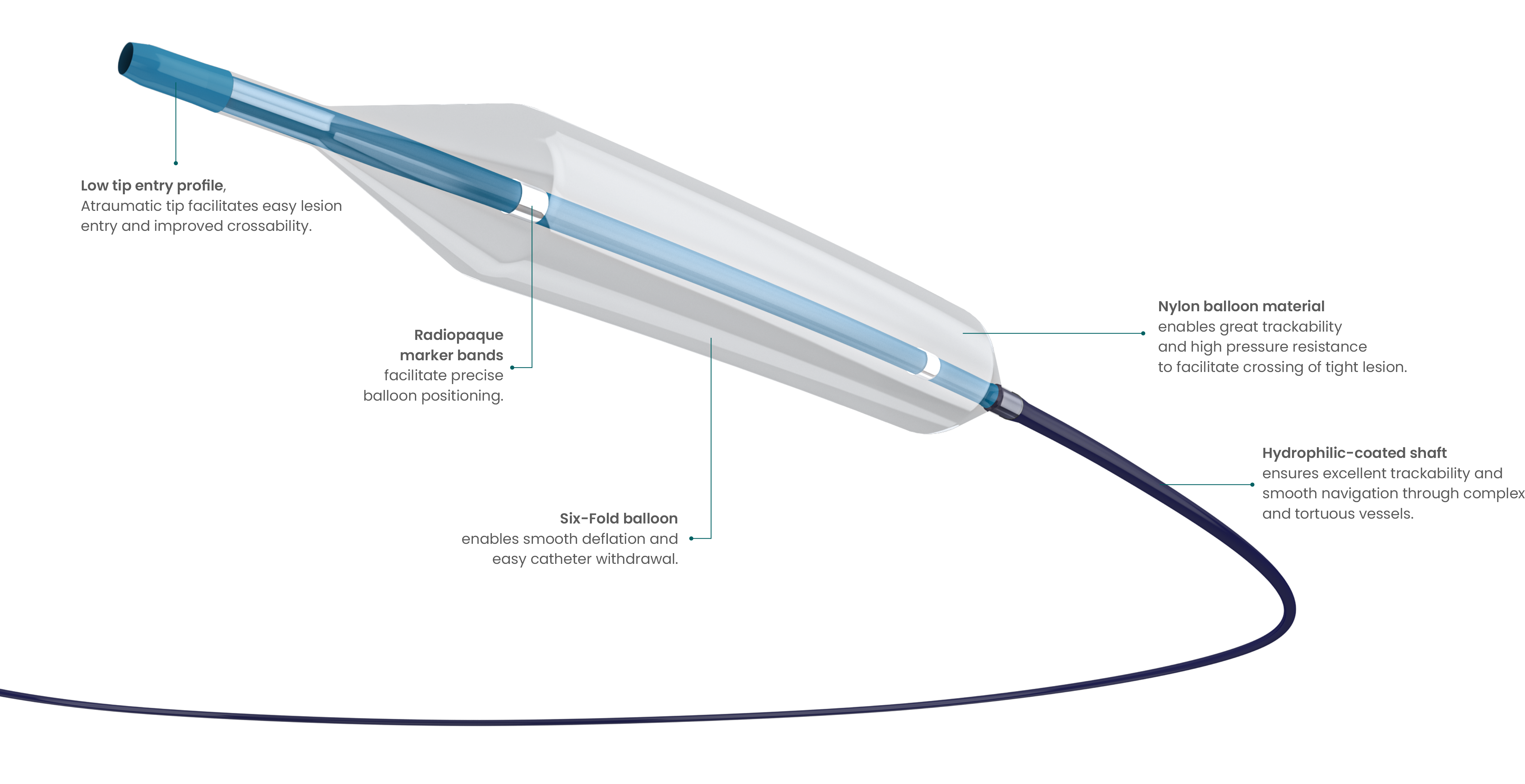 vectorpta0035